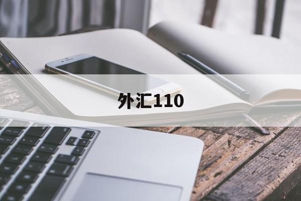 外汇110(外汇110app官方下载)